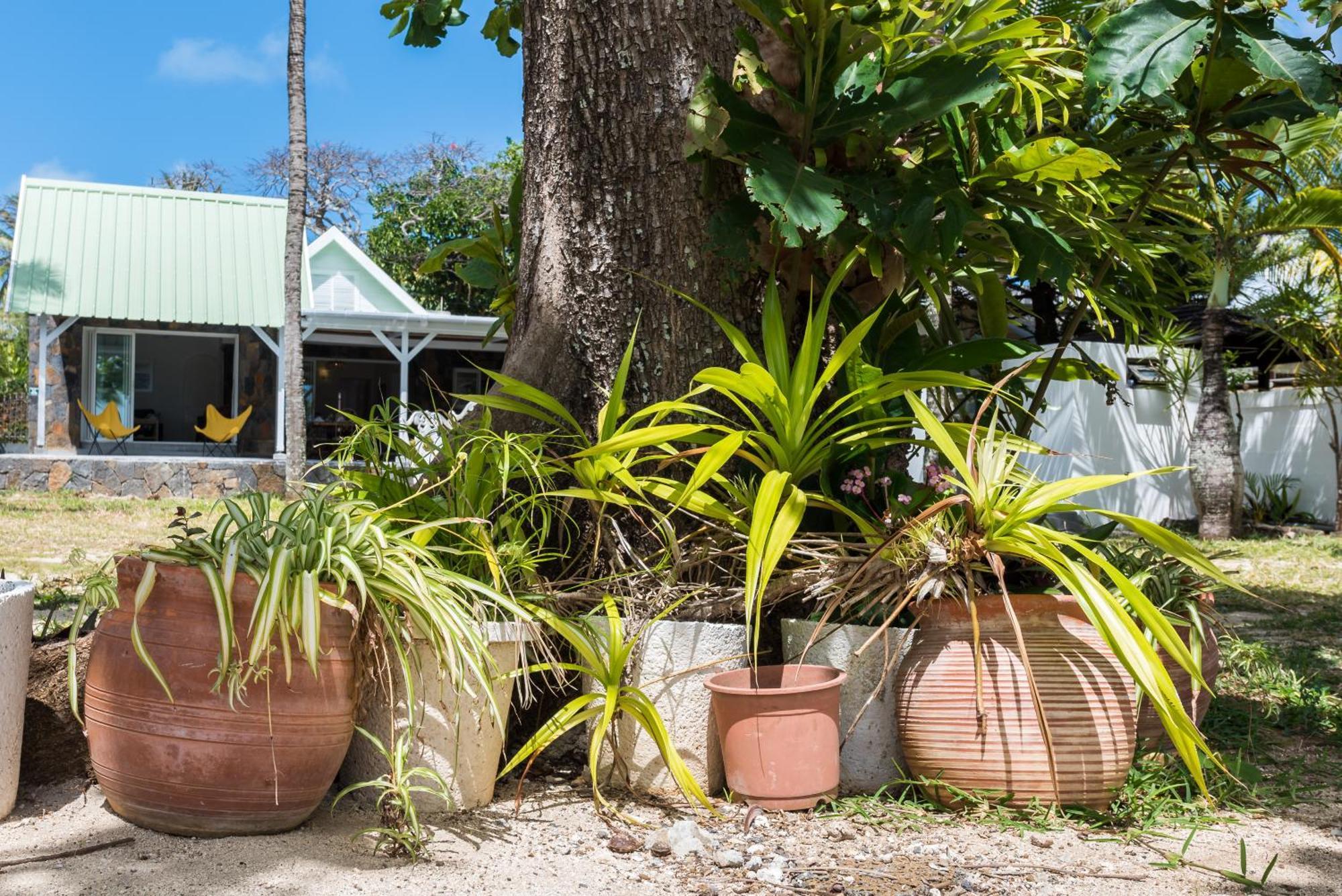 Quaint Beach Villa In A Fishing Village グラン・ゴーブ エクステリア 写真